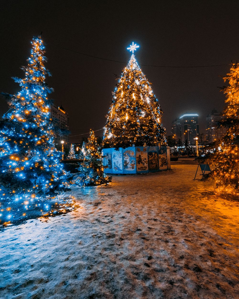 Illuminated Christmas trees lining a path at an evening light trail